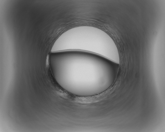 X0000113370041200909151035