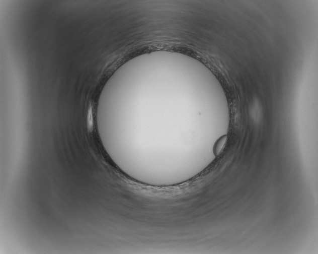 X0000113370042200909151035
