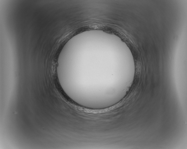 X0000113370043200909151035
