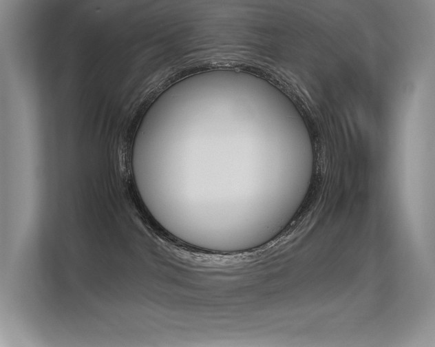X0000113370044200909151035