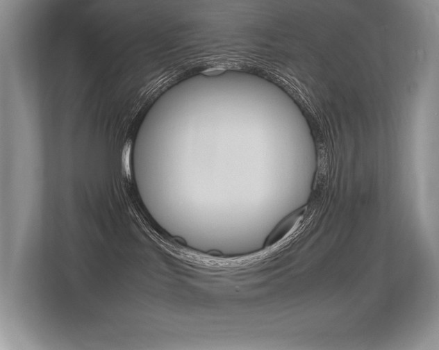 X0000113370047200909151035