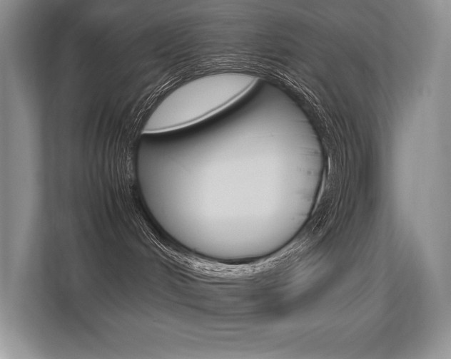 X0000113370048200909151035