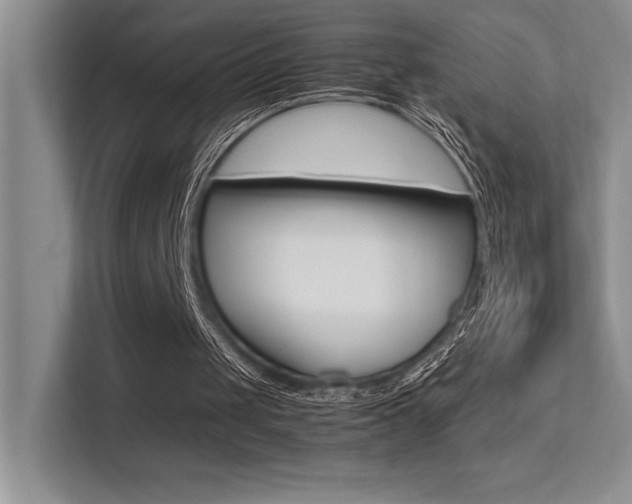 X0000113370049200909151035