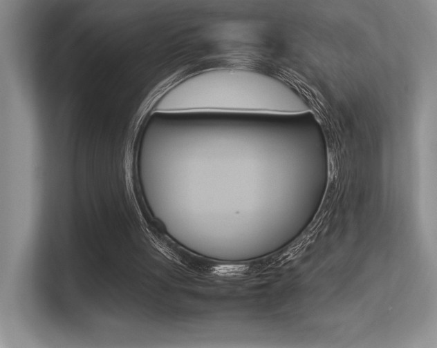 X0000113370051200909151035