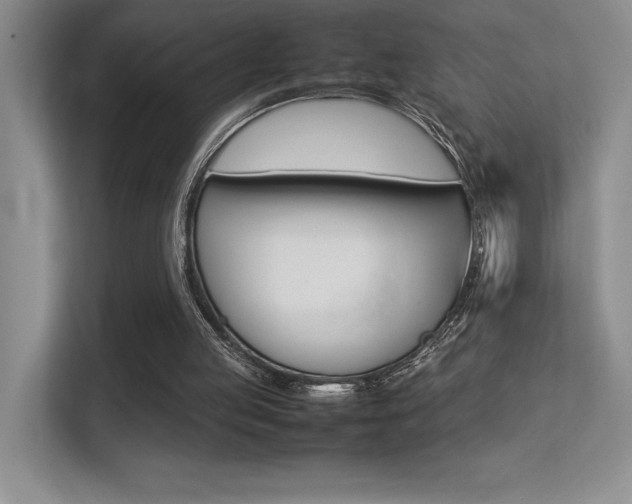 X0000113370053200909151035