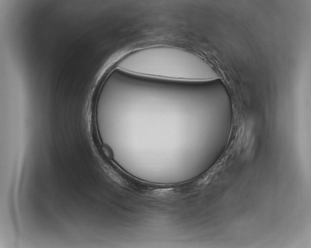 X0000113370054200909151035