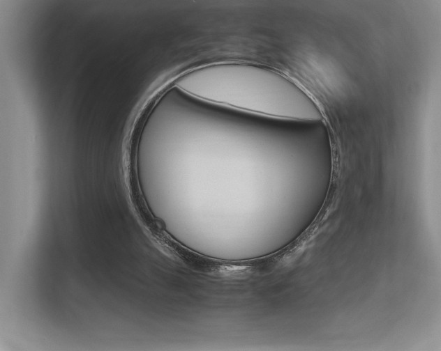 X0000113370055200909151035