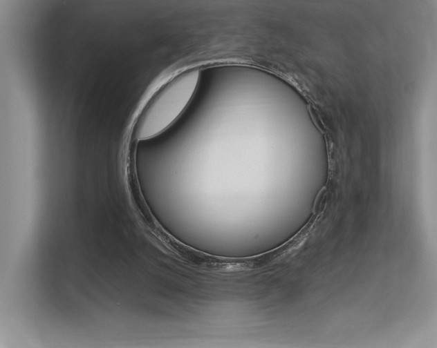 X0000113370056200909151035