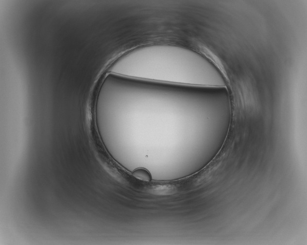 X0000113370059200909151035