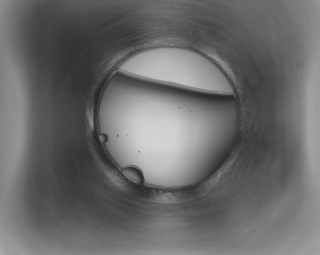 X0000113370062200909151035