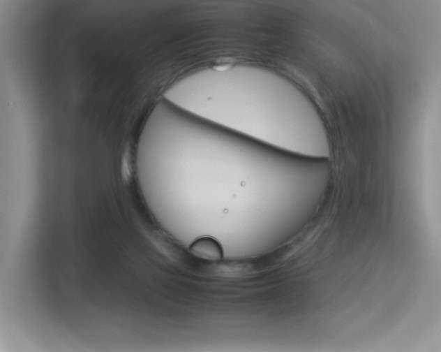 X0000113370069200909151035