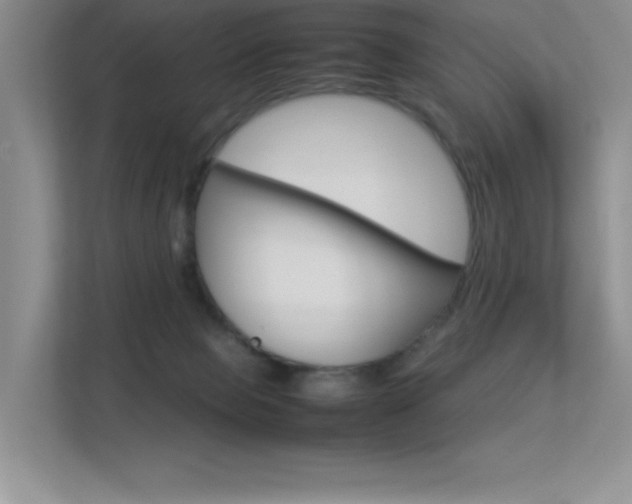 X0000113370077200909151035