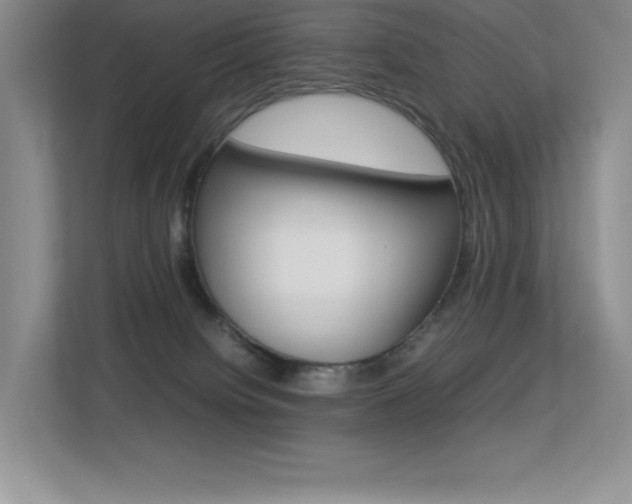 X0000113370084200909151035