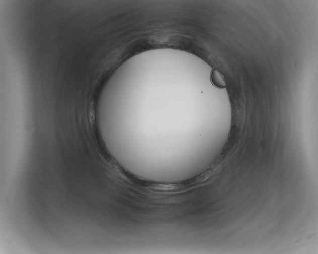 X0000113370085200909151035