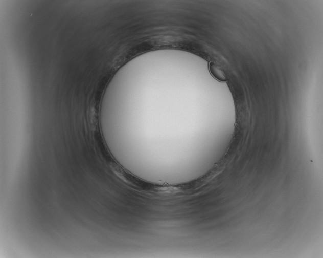 X0000113370087200909151035