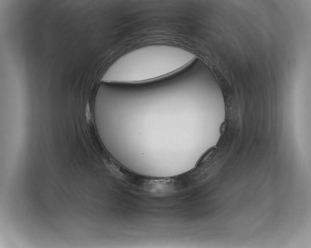 X0000113370089200909151035