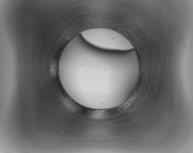 X0000113370090200909151035