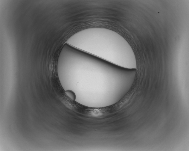 X0000113370091200909151035