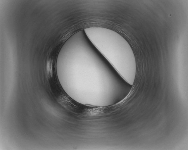 X0000113370094200909151035