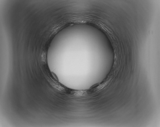 X0000113370096200909151035