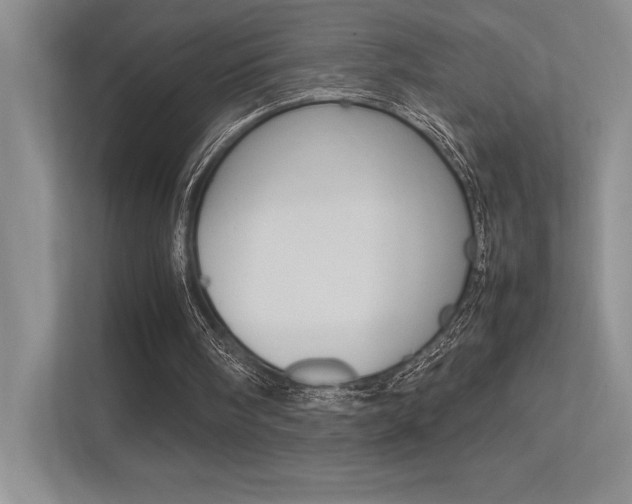 X0000113370098200909151035