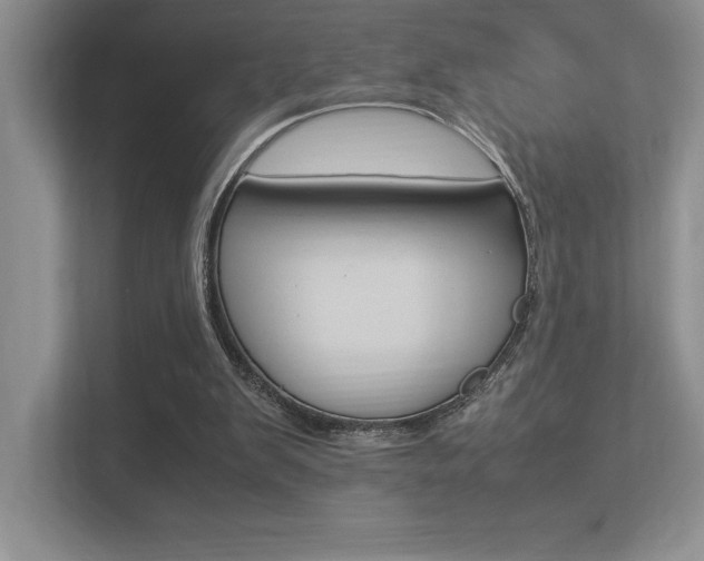 X0000113370103200909151035