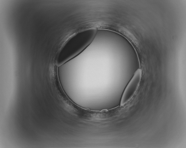 X0000113370105200909151035