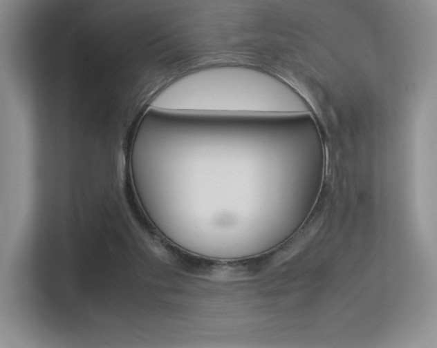 X0000113370109200909151035