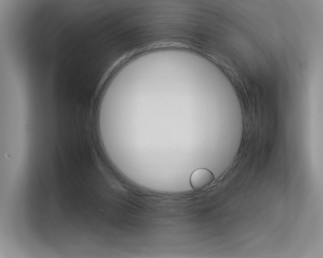 X0000113370112200909151035