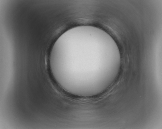 X0000113370115200909151035