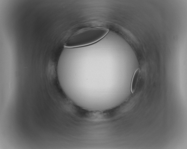 X0000113370121200909151034