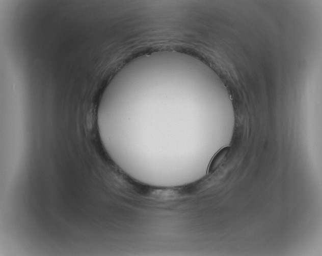 X0000113370133200909151034