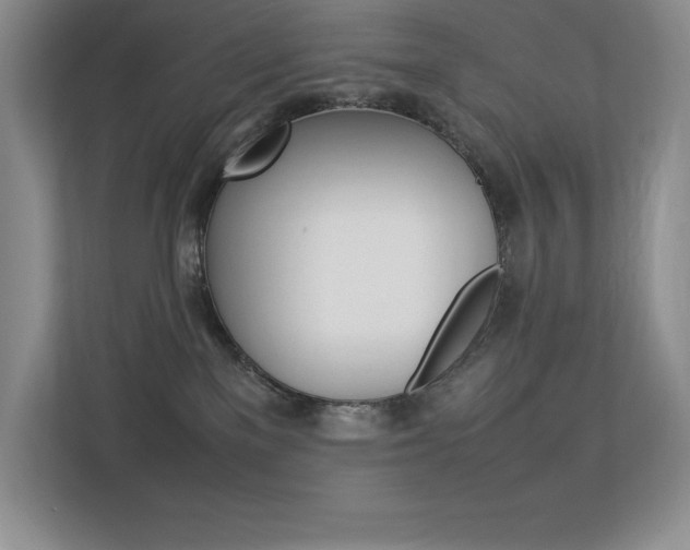 X0000113370137200909151034