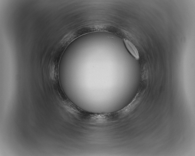 X0000113370140200909151034
