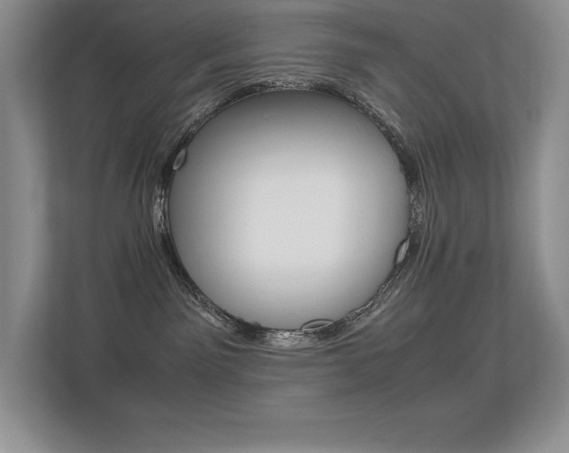 X0000113370141200909151034