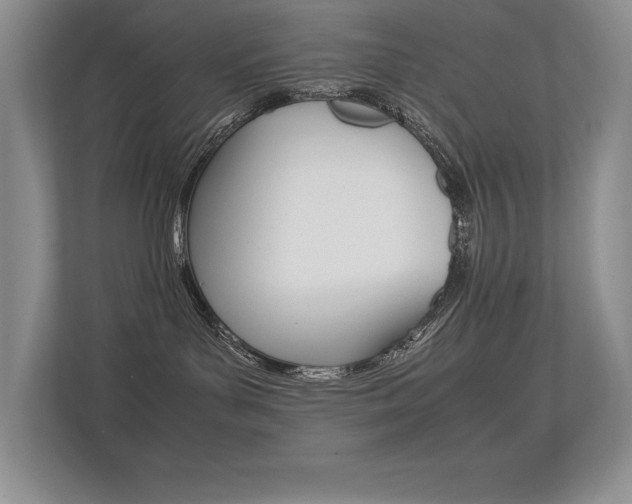 X0000113370143200909151034