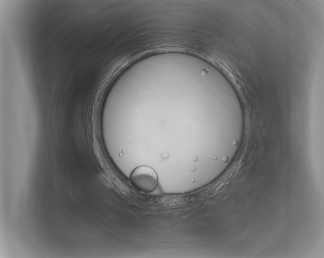 X0000113370145200909151034