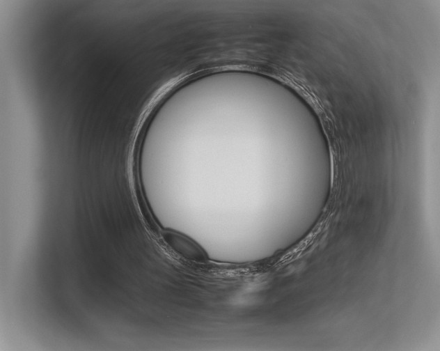 X0000113370147200909151034