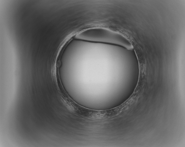 X0000113370148200909151034
