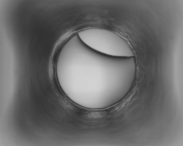 X0000113370149200909151034