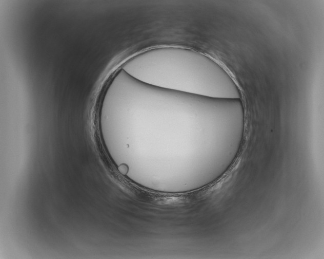 X0000113370151200909151034