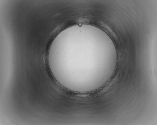 X0000113370161200909151034