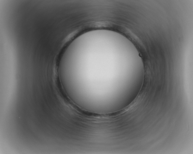 X0000113370164200909151034