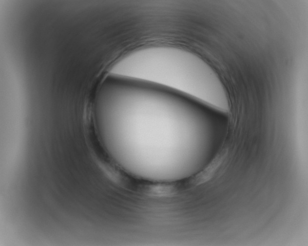 X0000113370168200909151034
