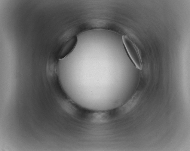 X0000113370172200909151034
