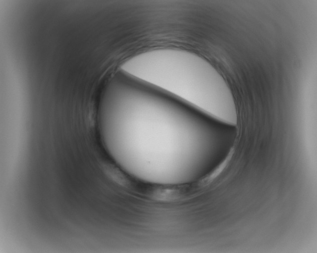 X0000113370174200909151034