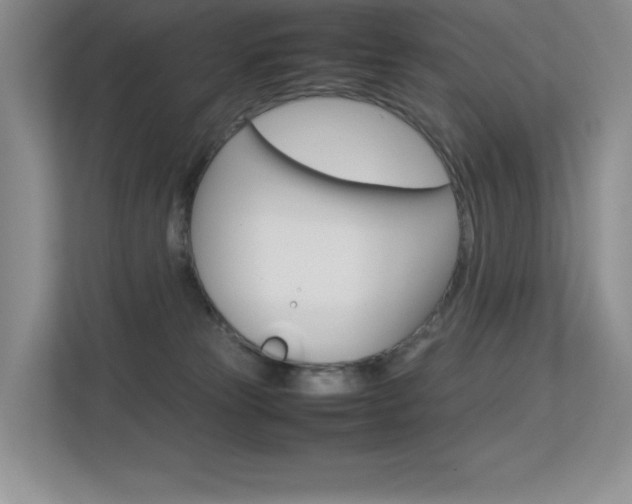 X0000113370181200909151034