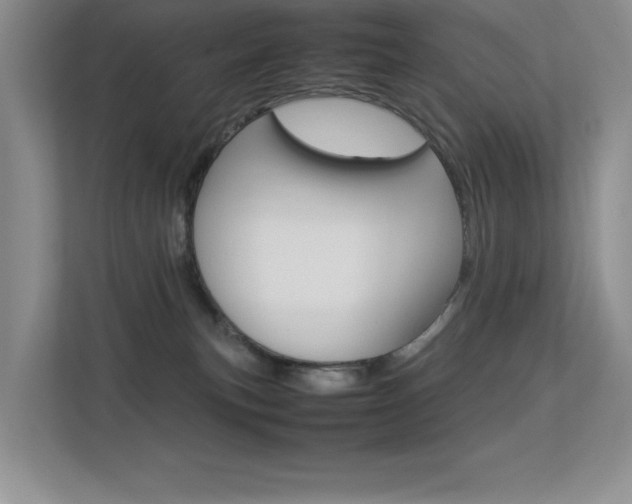 X0000113370183200909151034