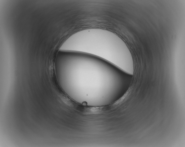 X0000113370184200909151034