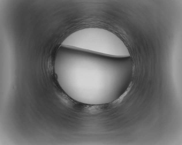 X0000113370186200909151034